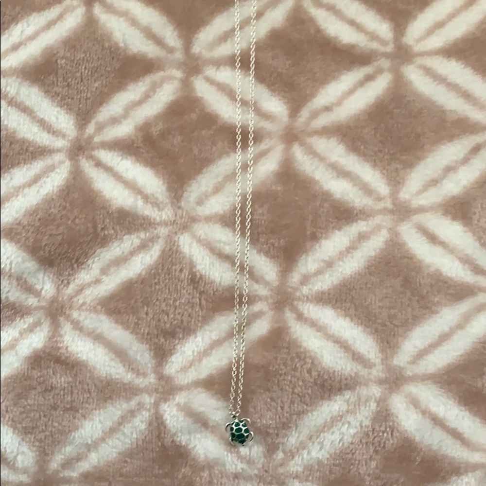 Turtle Necklace